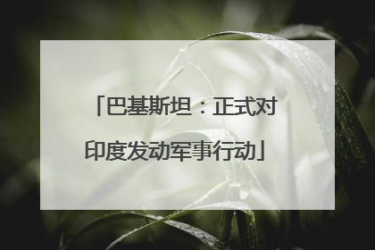 巴基斯坦：正式对印度发动军事行动